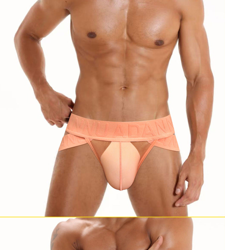 METOIN Men's Low Rise T Shape Thong Underwear Athletic Sheer Mesh Front Pouch U Fly Design (AD778)