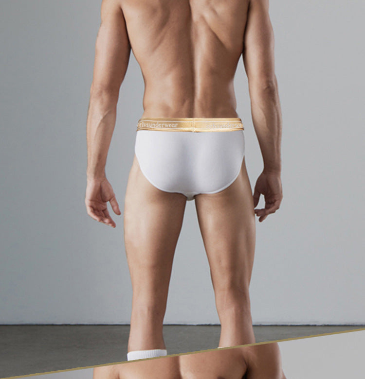 METOIN Men's Low Rise Cotton Briefs Pack of 3 - Soft High-Cut Comfort (OR6220)