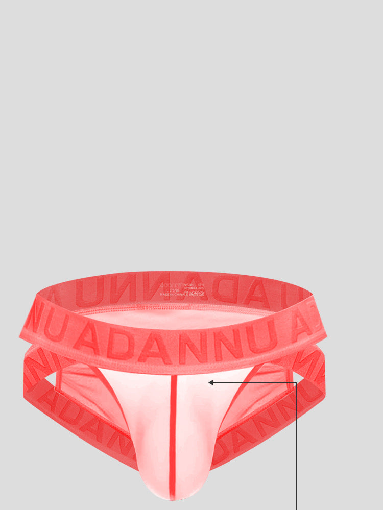 METOIN Men's Low Rise T Shape Thong Underwear Athletic Sheer Mesh Front Pouch U Fly Design (AD778)