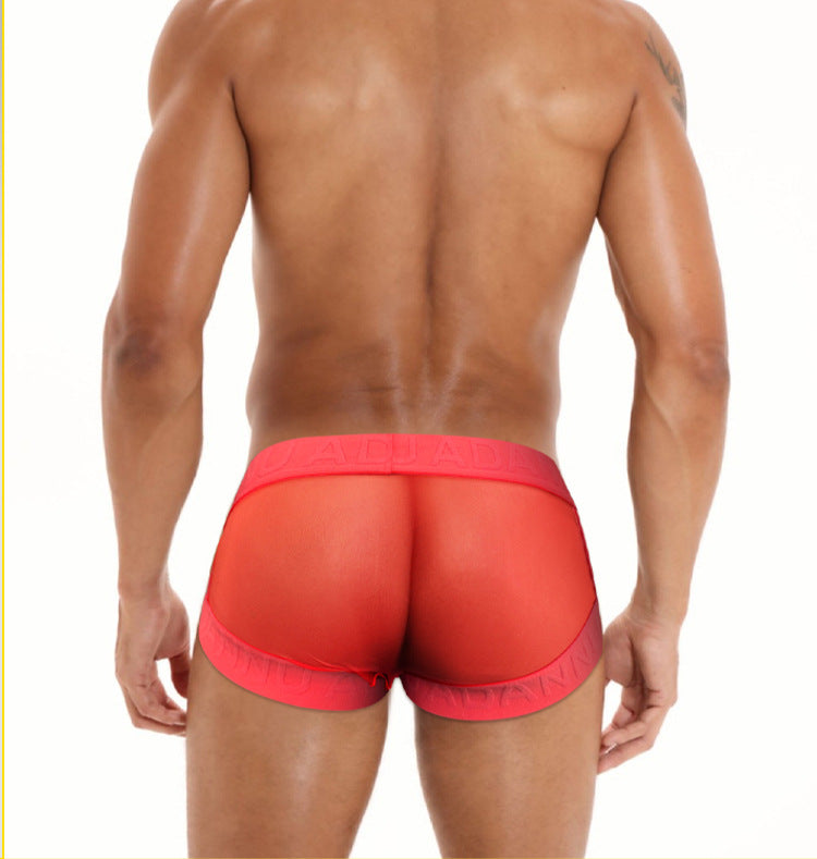 METOIN Men's Low Rise T Shape Thong Underwear Athletic Sheer Mesh Front Pouch U Fly Design (AD778)
