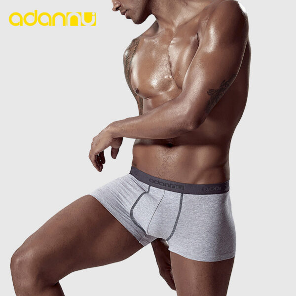 METOIN Men's Athletic Cross Back Triangle Underwear Transparent Breathable Mesh Briefs with U Pouch Support - Brief / Hipster